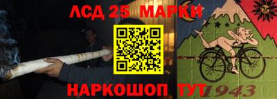 mdpv Гатчина