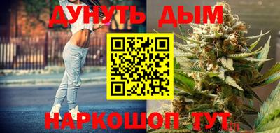 mdpv Гатчина