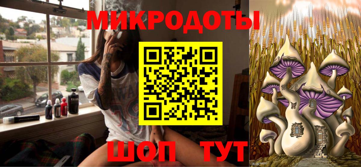 Псилоцибиновые грибы мицелий Соль-Илецк